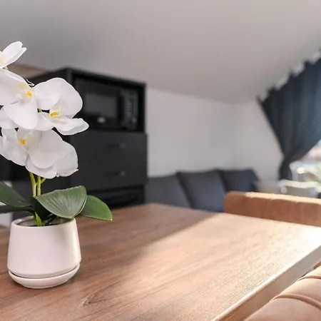 Apartment Zat *