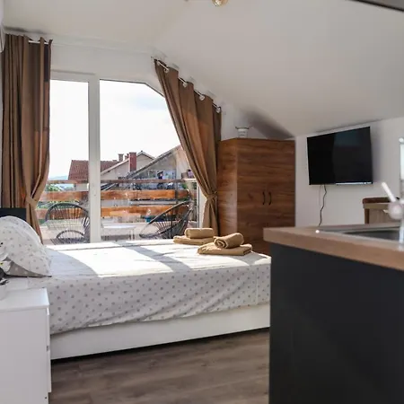 Apartment Zat Soko Banja