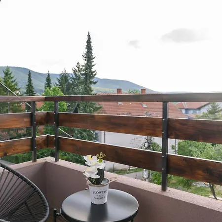 Apartment Zat Soko Banja
