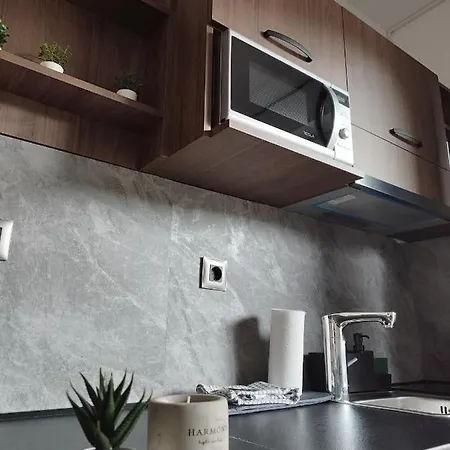 Apartamento Zat Soko Banja