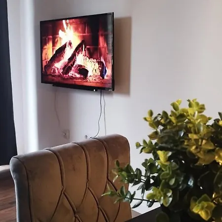Apartment Zat