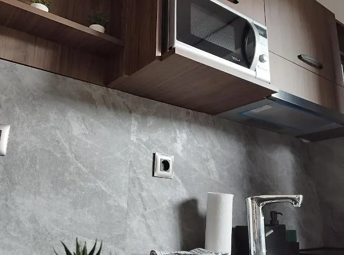 Apartament Zat Soko Banja