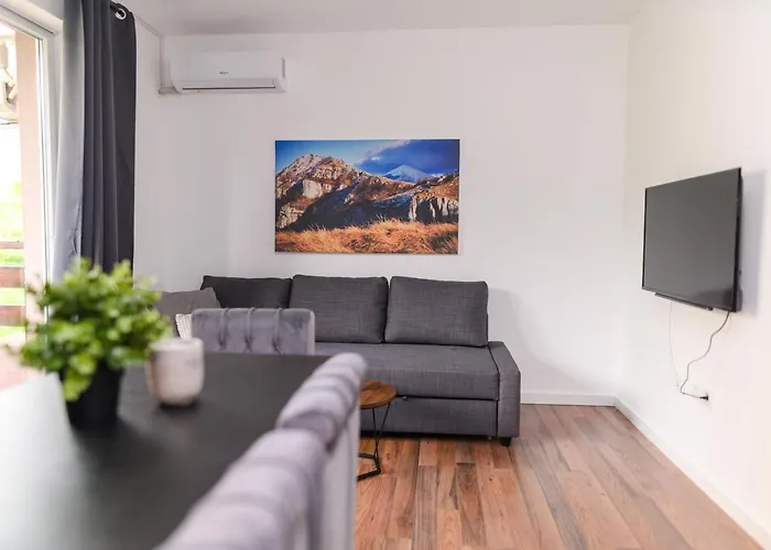 Apartament Zat Soko Banja